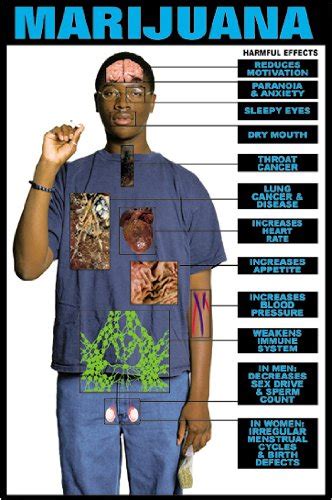 what are the long term effects of smoking fake weed